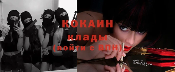 шишки Коряжма