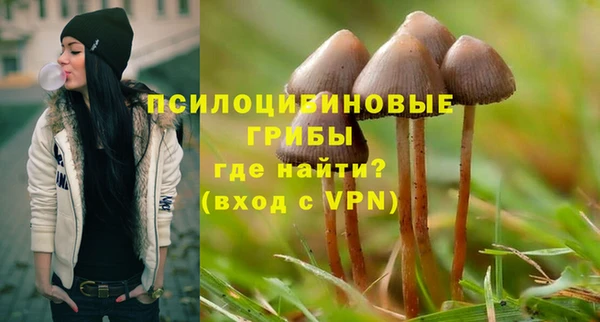 бутират Козловка