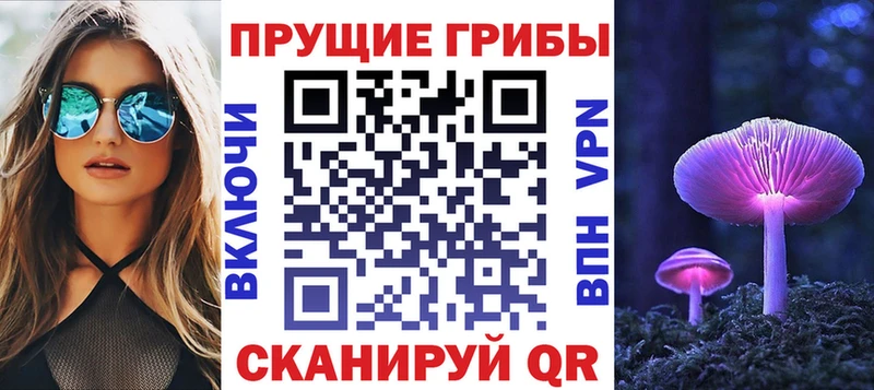 Купить где  Жигулёвск  Псилоцибиновые грибы GOLDEN TEACHER 
